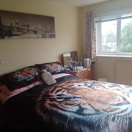 216 Glyn Eiddew Hotell Cardiff Eksteriør bilde