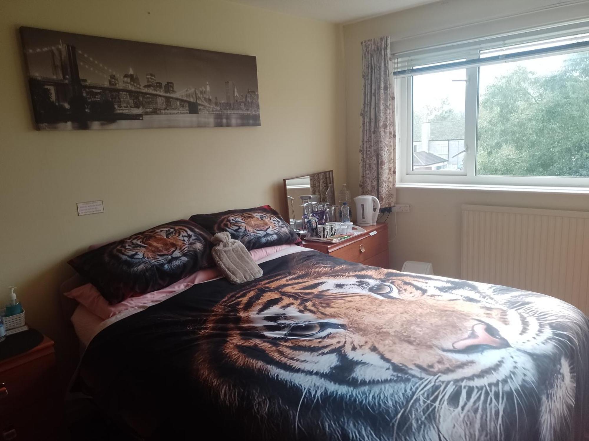 216 Glyn Eiddew Hotell Cardiff Eksteriør bilde