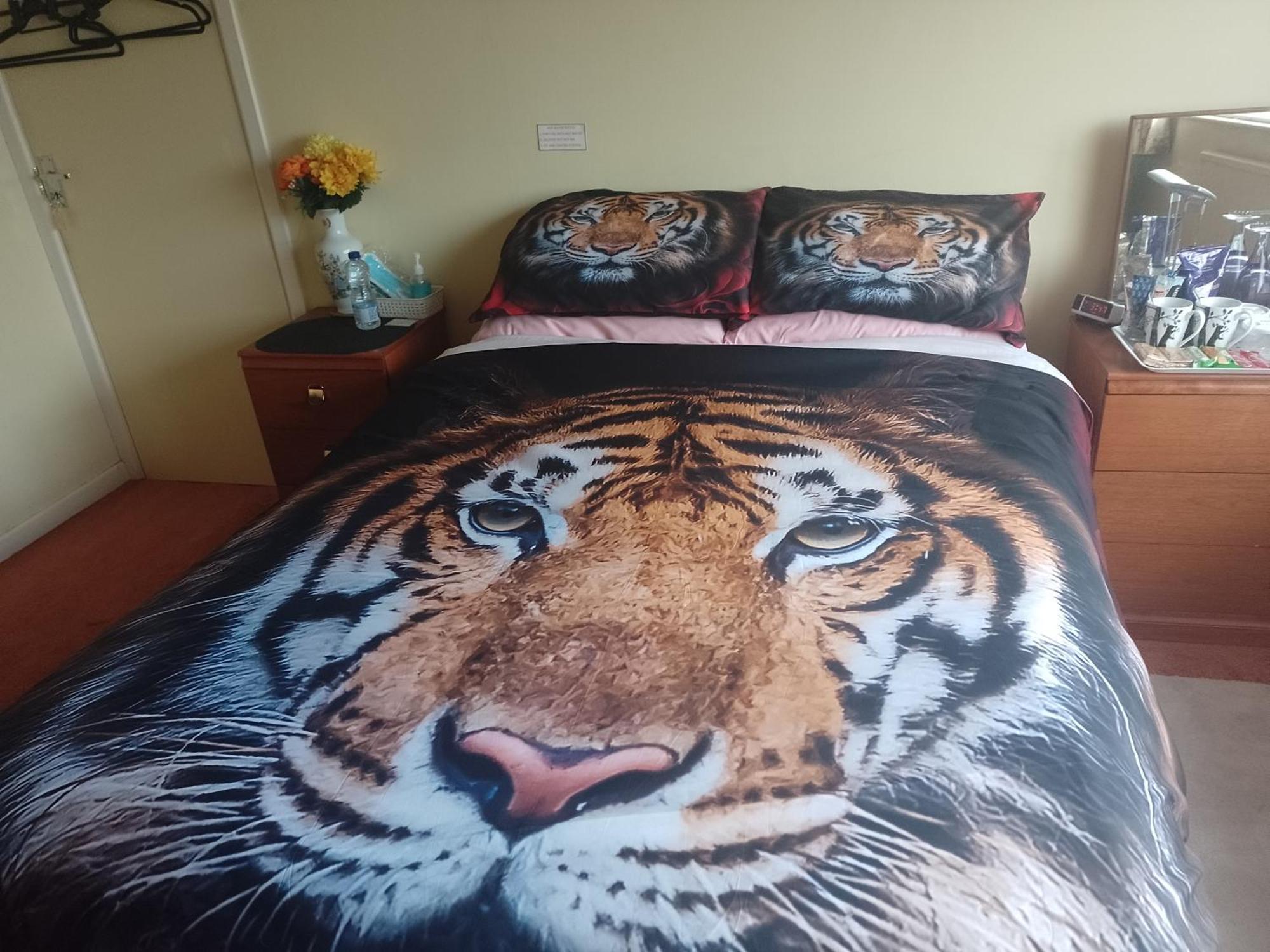 216 Glyn Eiddew Hotell Cardiff Eksteriør bilde
